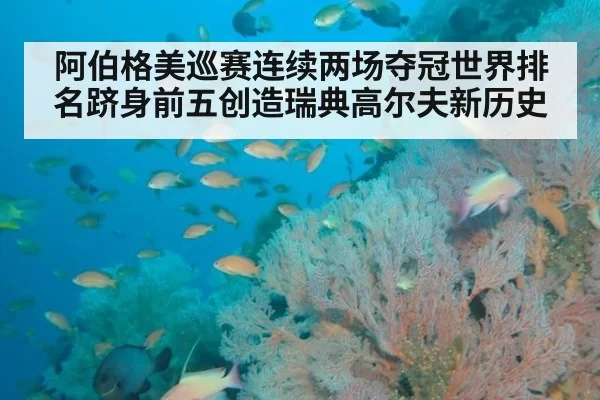 阿伯格美巡赛连续两场夺冠世界排名跻身前五创造瑞典高尔夫新历史