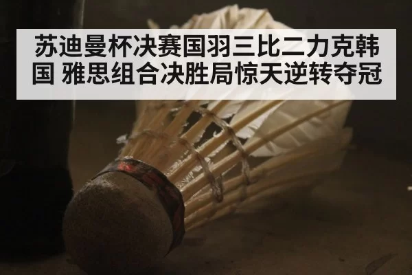 苏迪曼杯决赛国羽三比二力克韩国 雅思组合决胜局惊天逆转夺冠