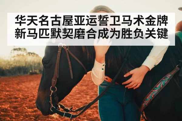 华天名古屋亚运誓卫马术金牌 新马匹默契磨合成为胜负关键